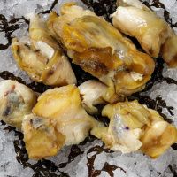 Мясо рапана (филе)