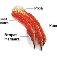 Мясо камчатского краба Колено