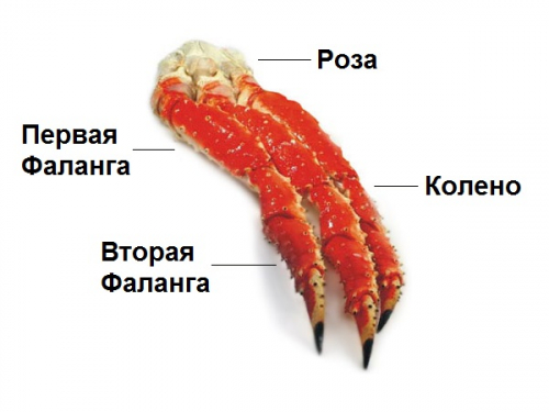 Мясо краба камчатского фото