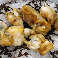 Мясо рапана (филе)