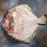 Калкан Черноморский