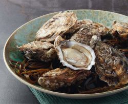 Устрица G Устрица G