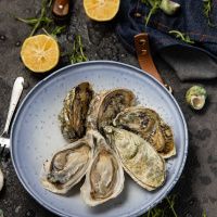 Устрица Касабланка