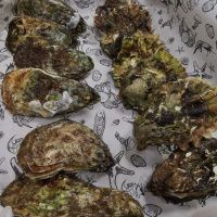 Набор с устрицей Императорская крупная