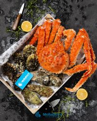 Набор № 1 Набор № 1