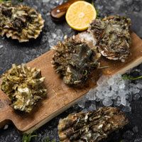 Устрица Хасанская