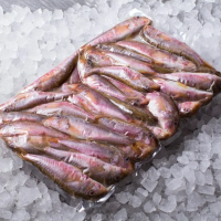 Барабулька черноморская